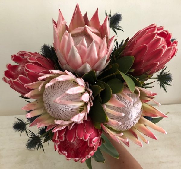 Protea Bouquet Mark Henderson Florist Protea Bouquet Mark Henderson Florist